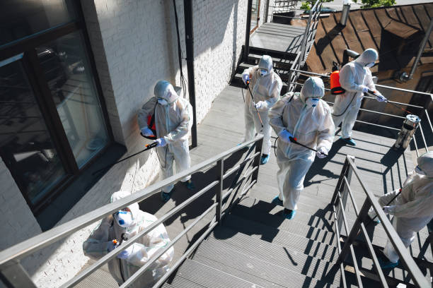 Mold Documentation for Insurance Claims in Hawkinsville, GA