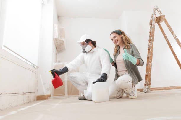 Best Real Estate Mold Inspection  in Hawkinsville, GA