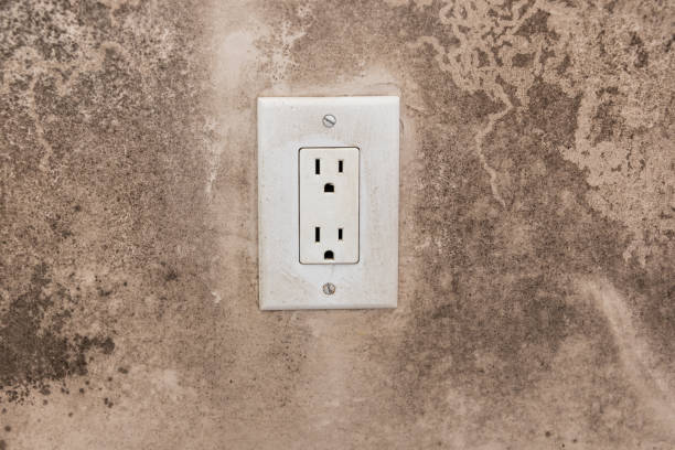 Mold Remediation for Vacation Homes in Hawkinsville, GA